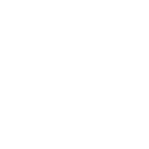 PI Logo White